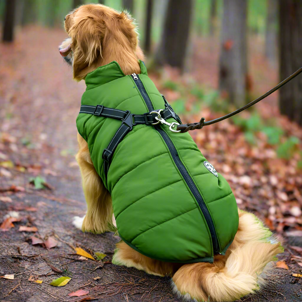 Doggie Luxe Outdoor Jacket - Wild Boston UK