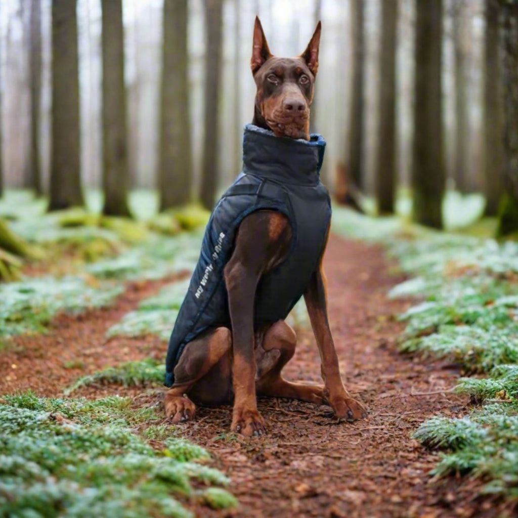 Rain Guard Elite Dog Coat - Wild Boston UK